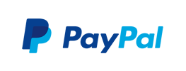 PayPal payment process