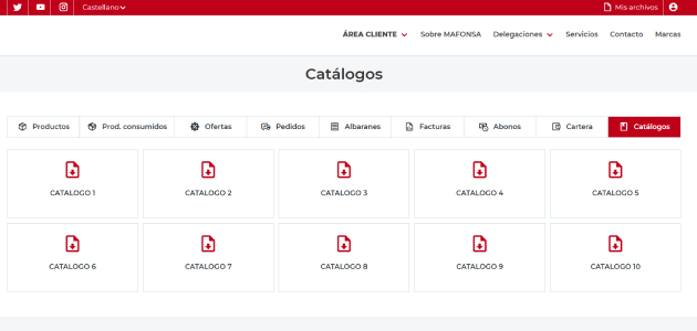 Página de descarga en el B2B
