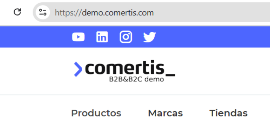 Páginas securizadas en el B2B