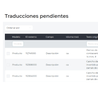 Detección automática de textos a traducir en el B2B