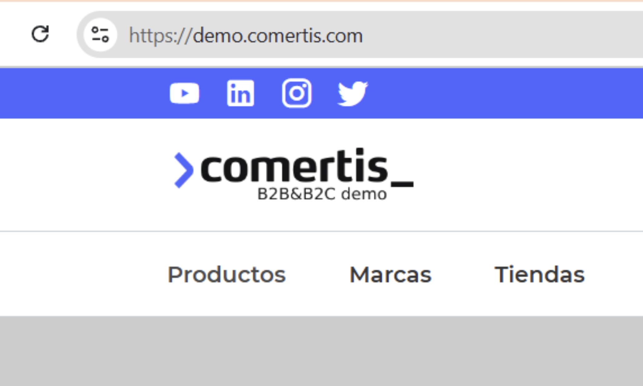 Securización en el B2B